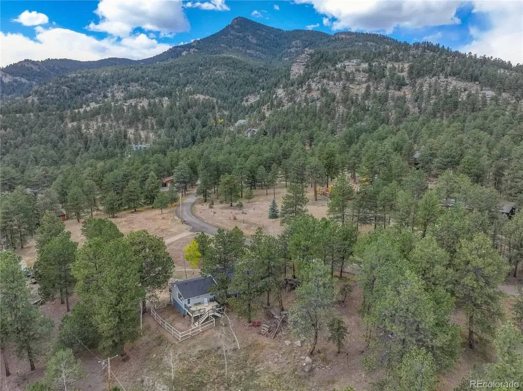 114 Patty Drive Evergreen CO 80439