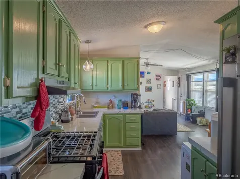 29600 County Road 353 Buena Vista CO 81211