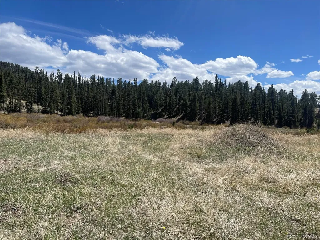 00 Wildhorn Road Florissant CO 80816