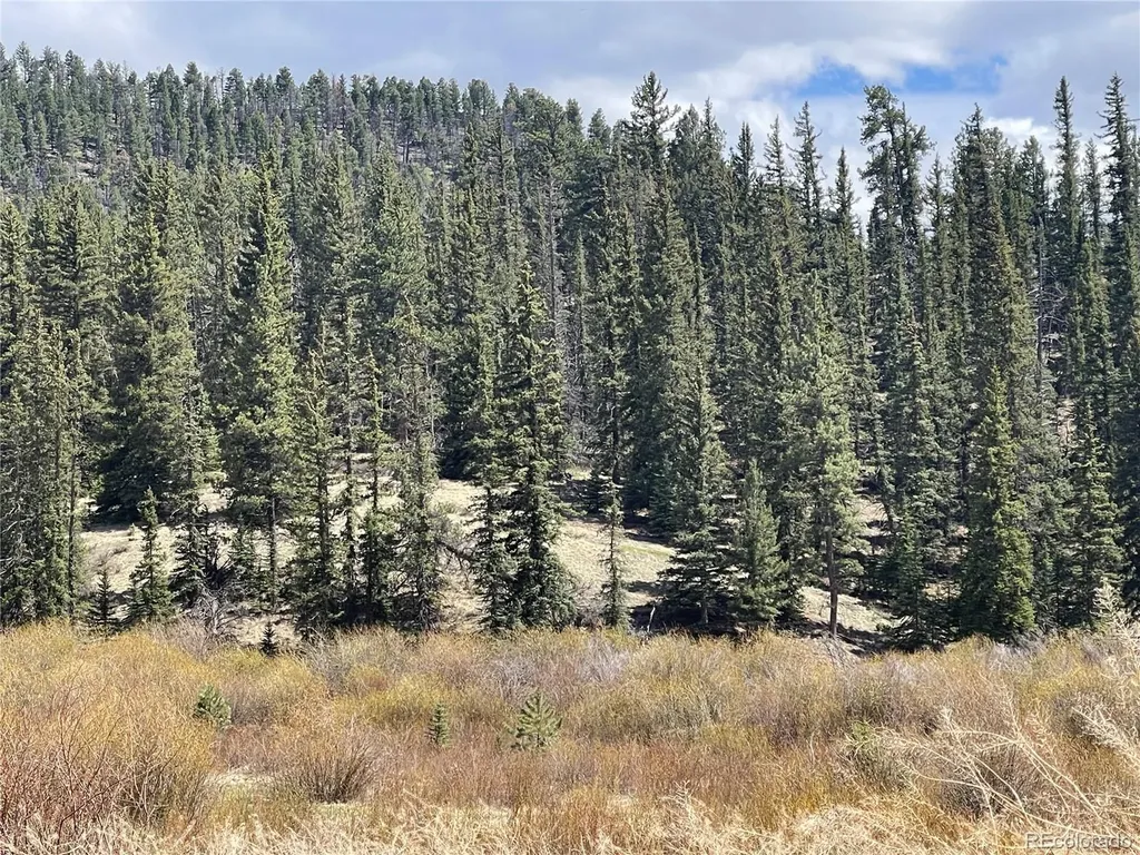 00 Wildhorn Road Florissant CO 80816