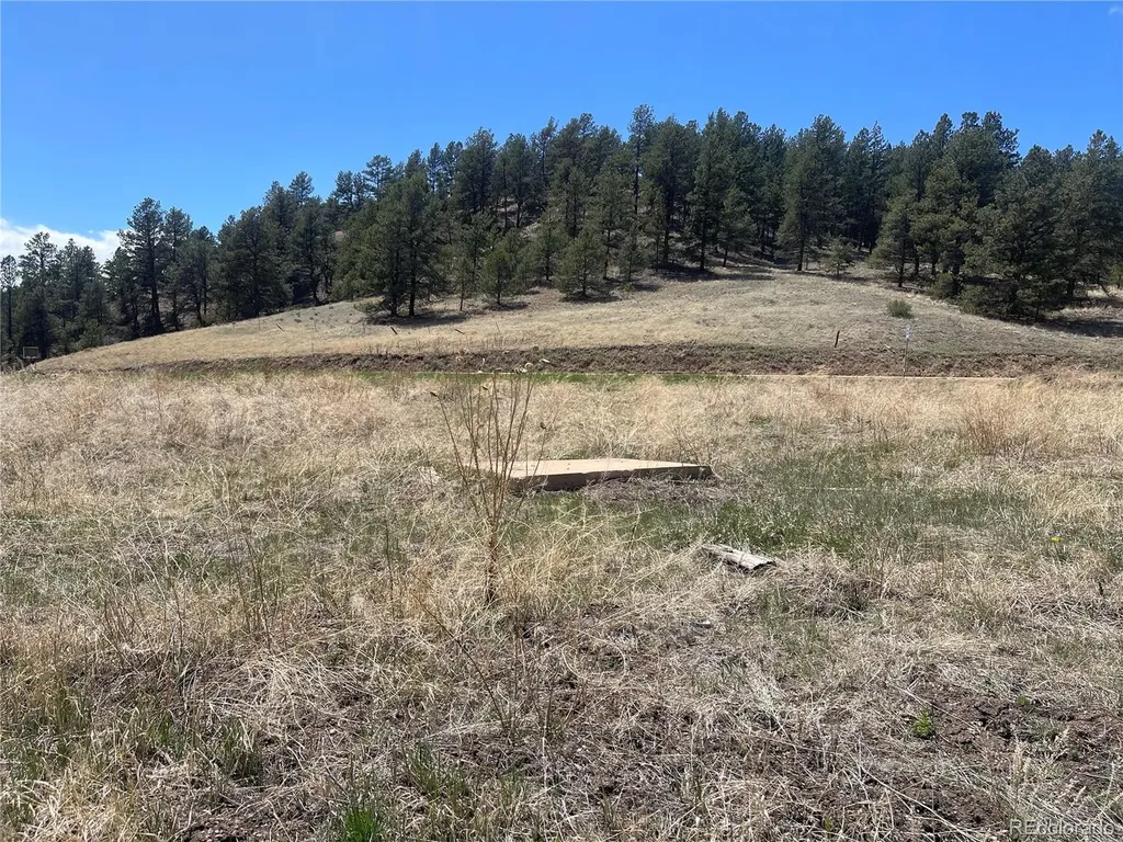 00 Wildhorn Road Florissant CO 80816