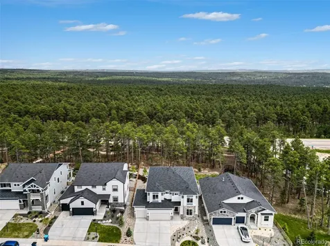 16325 Treetop Glory Court Monument CO 80132