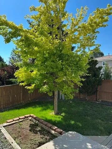 4435 Lyndenwood Circle Highlands Ranch CO 80130