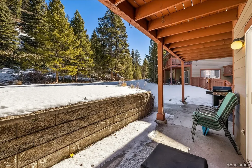 253 Pelican Circle Breckenridge CO 80424