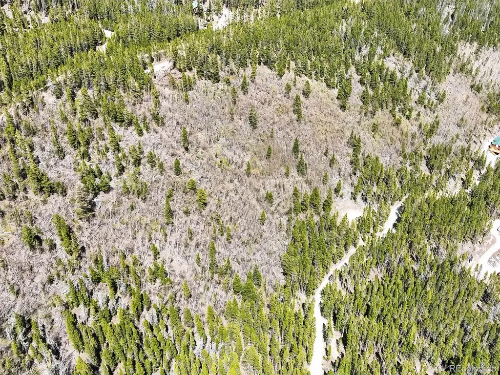 9 Rainbow Road Idaho Springs CO 80452