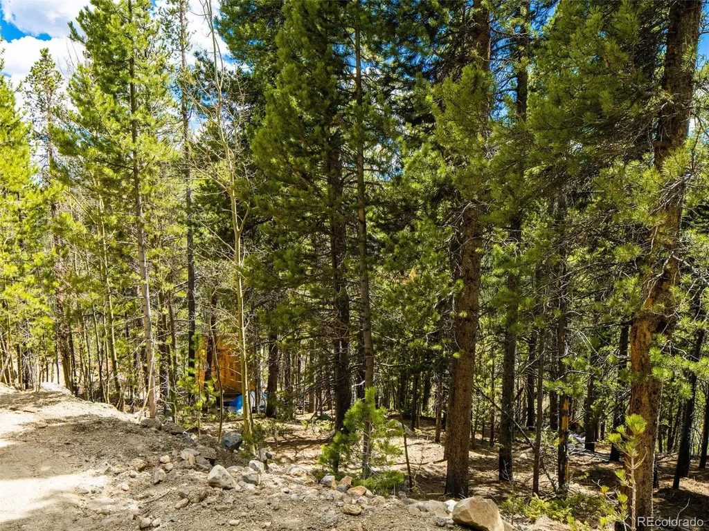9 Rainbow Road Idaho Springs CO 80452