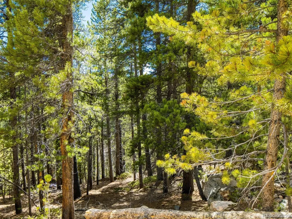 9 Rainbow Road Idaho Springs CO 80452