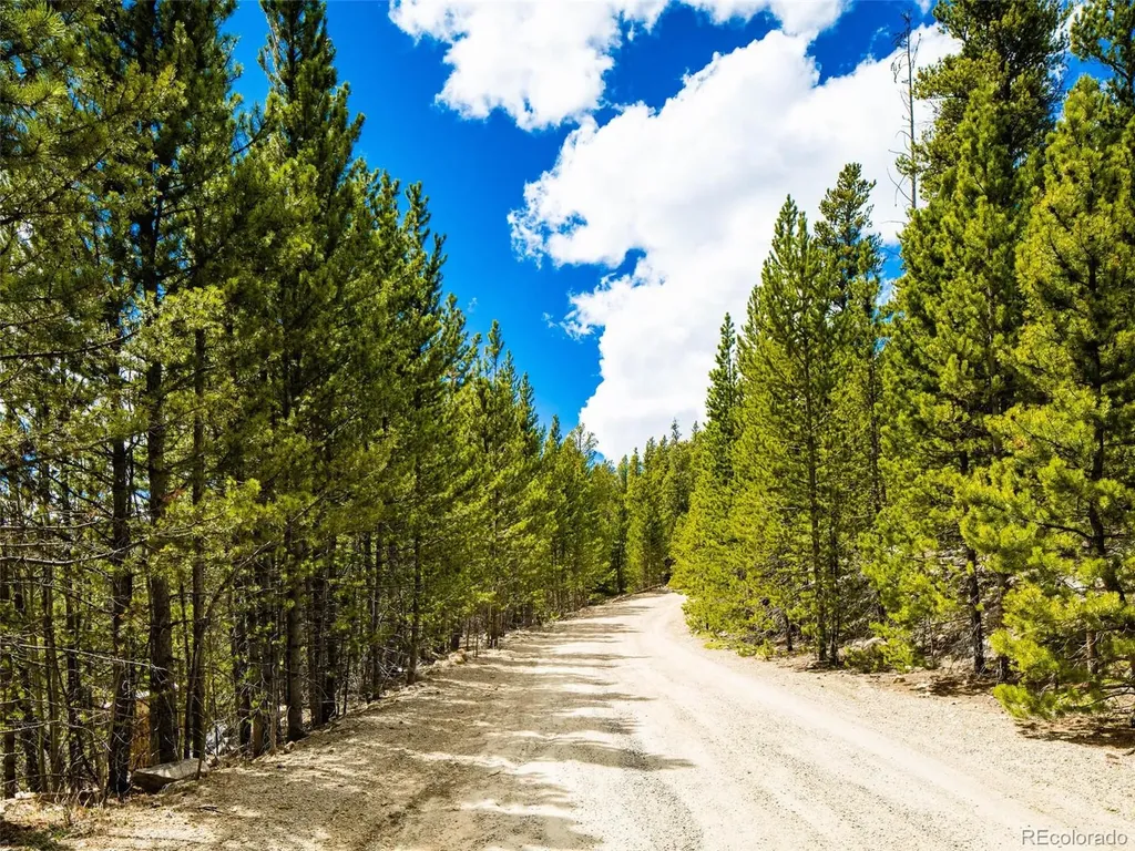 9 Rainbow Road Idaho Springs CO 80452