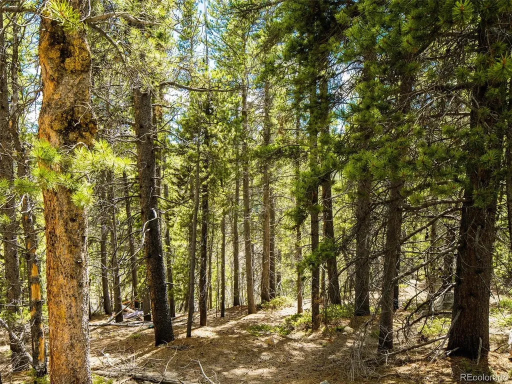 9 Rainbow Road Idaho Springs CO 80452