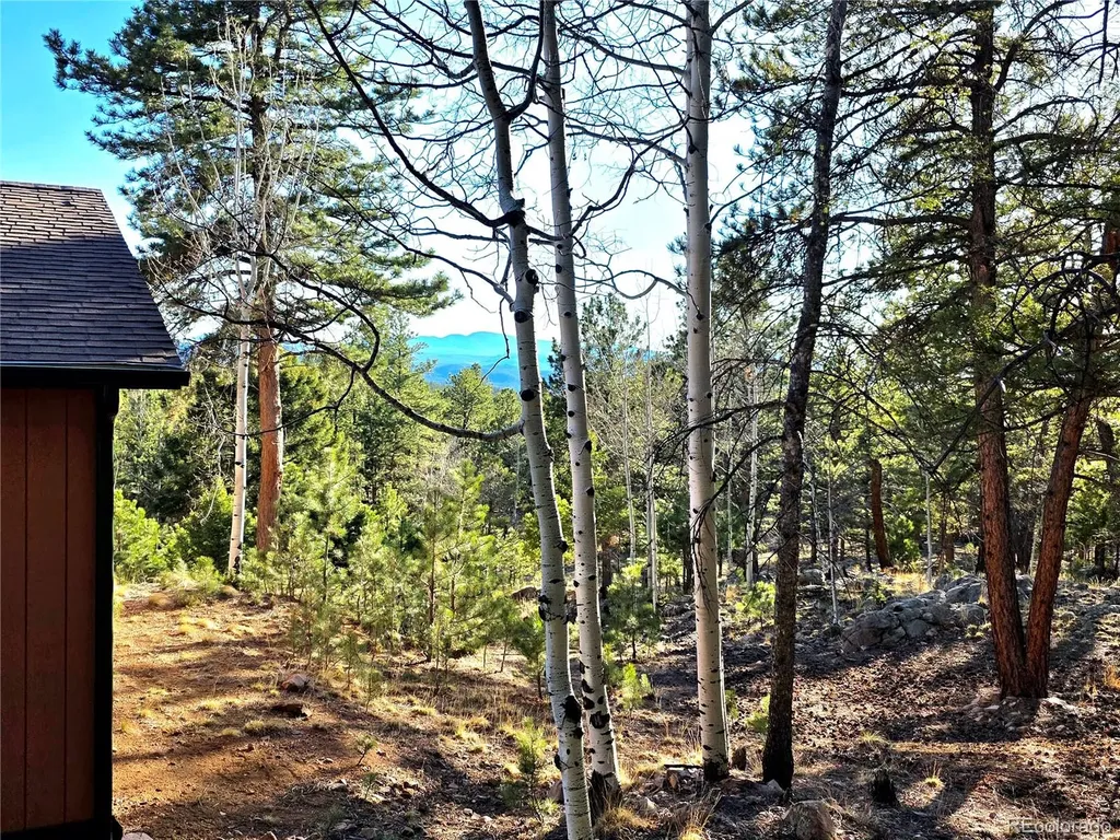 2063 Vagabond Creek Drive Lake George CO 80827