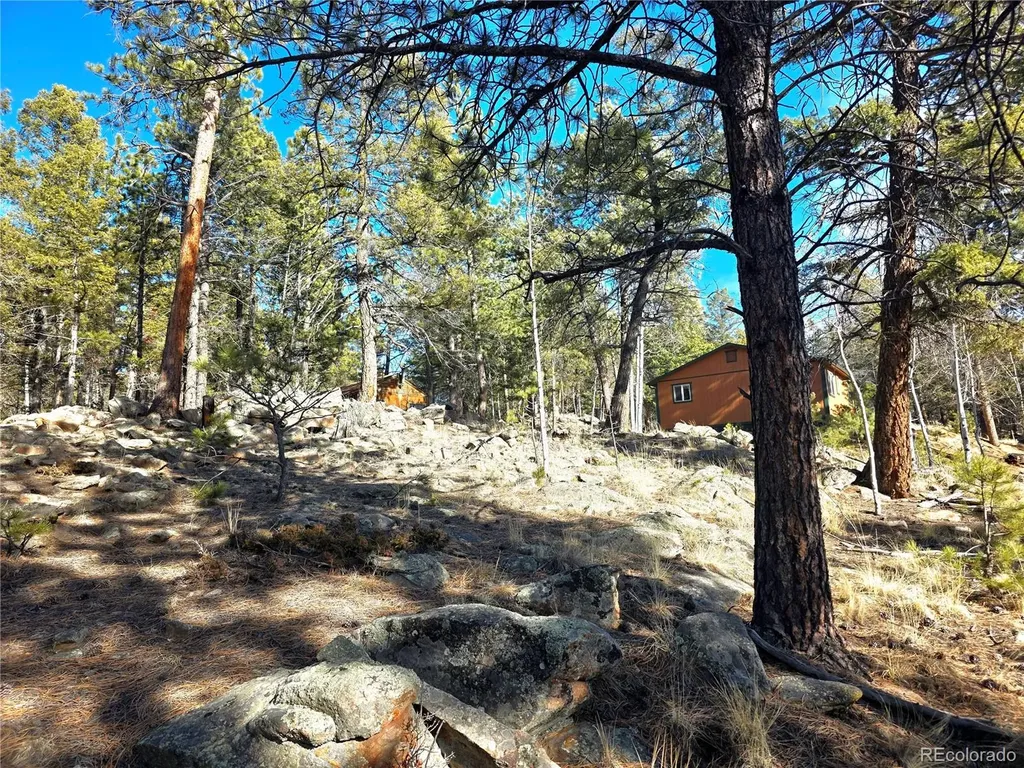 2063 Vagabond Creek Drive Lake George CO 80827