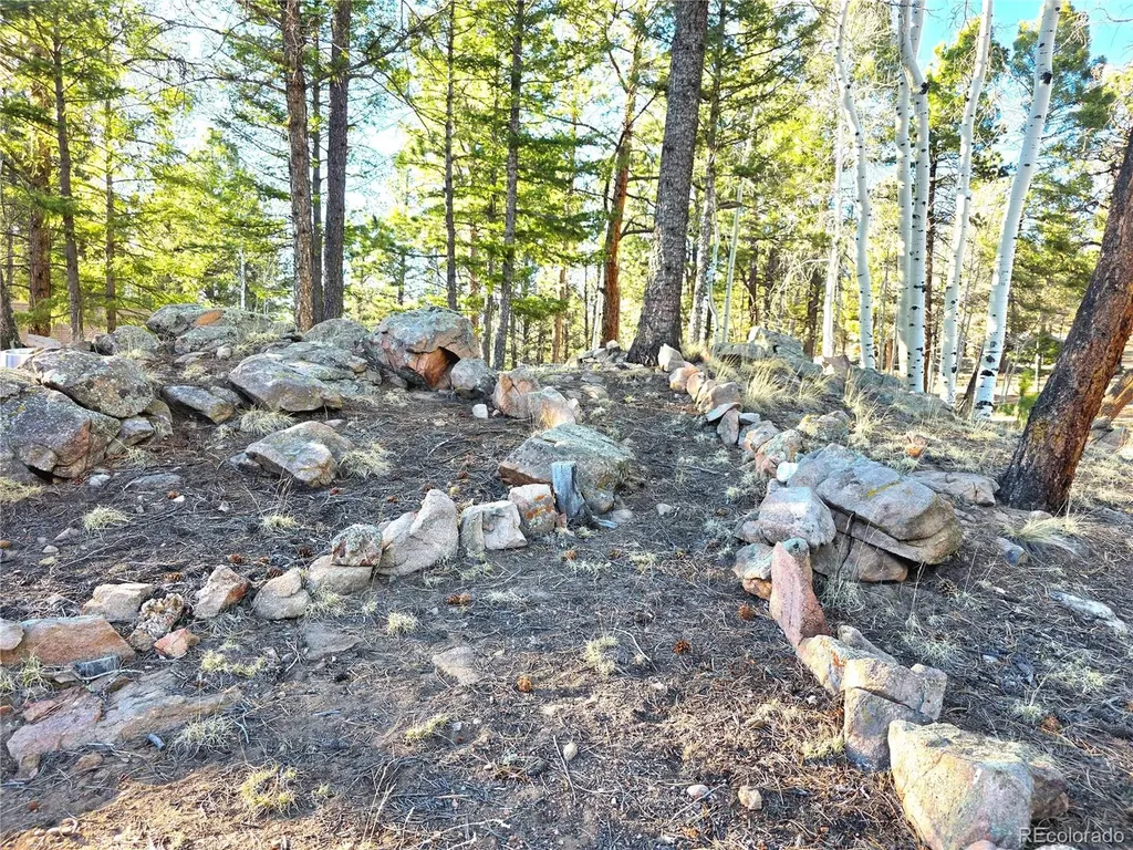 2063 Vagabond Creek Drive Lake George CO 80827