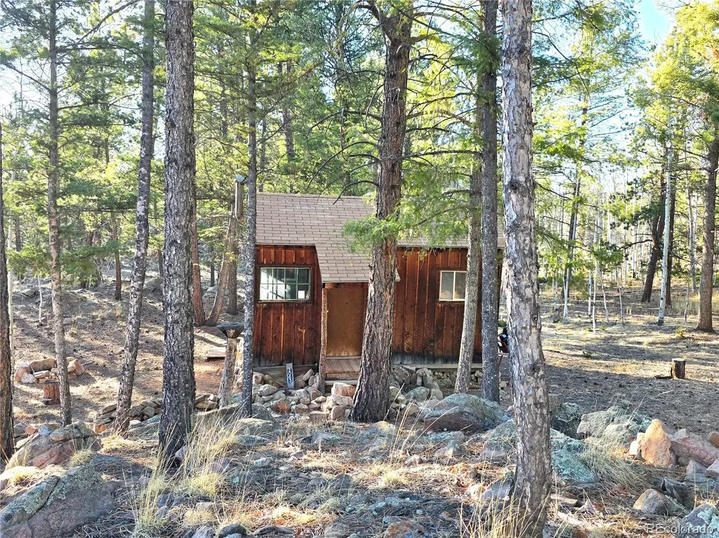 2063 Vagabond Creek Drive Lake George CO 80827