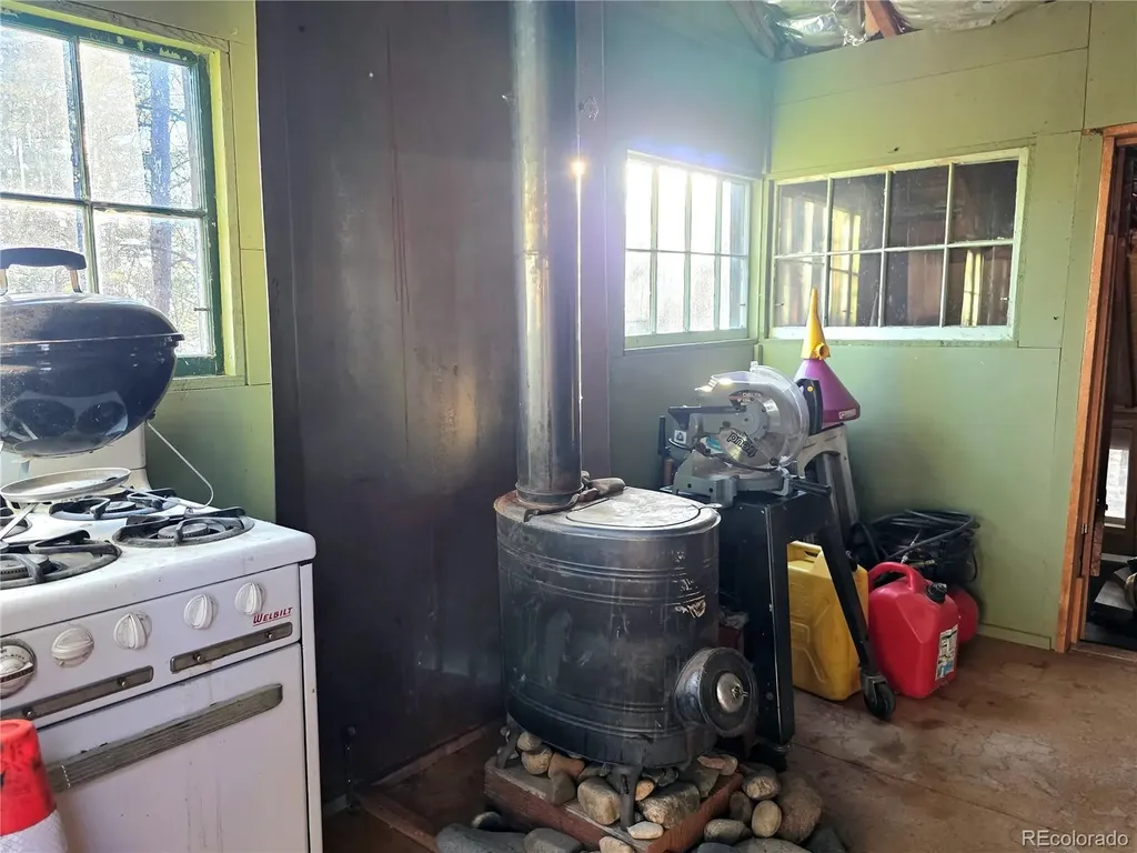 2063 Vagabond Creek Drive Lake George CO 80827