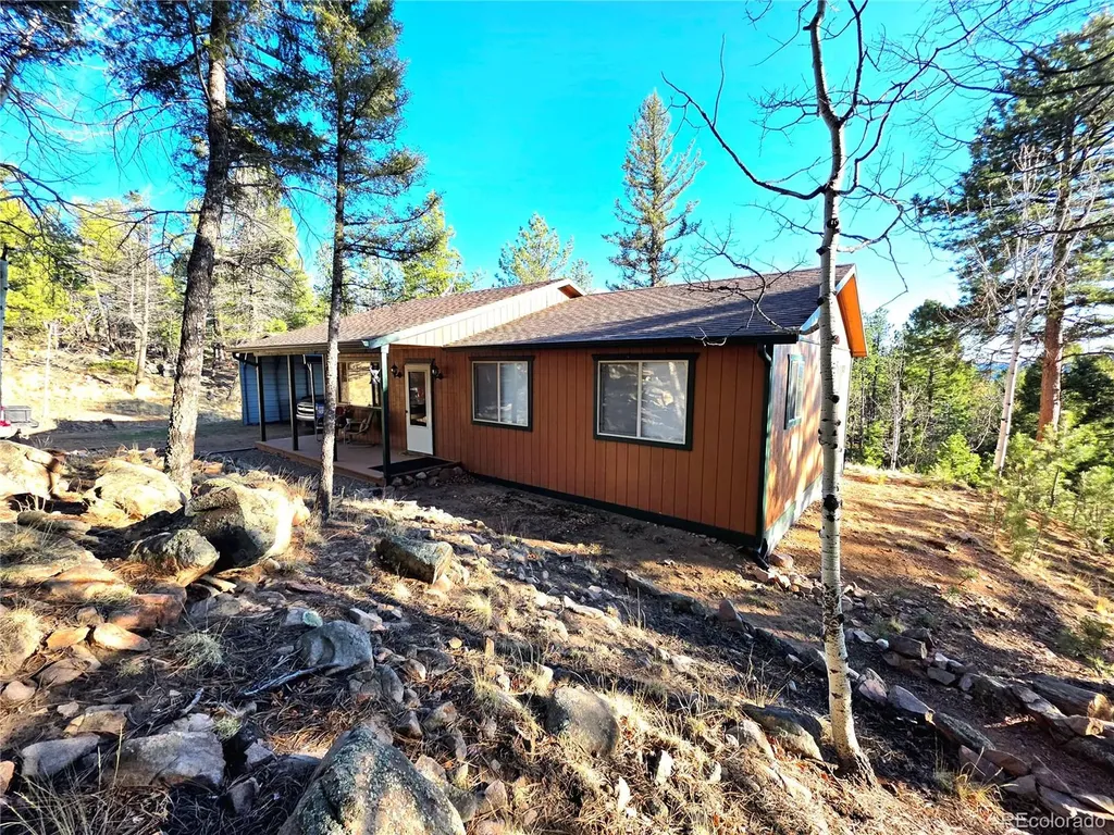 2063 Vagabond Creek Drive Lake George CO 80827
