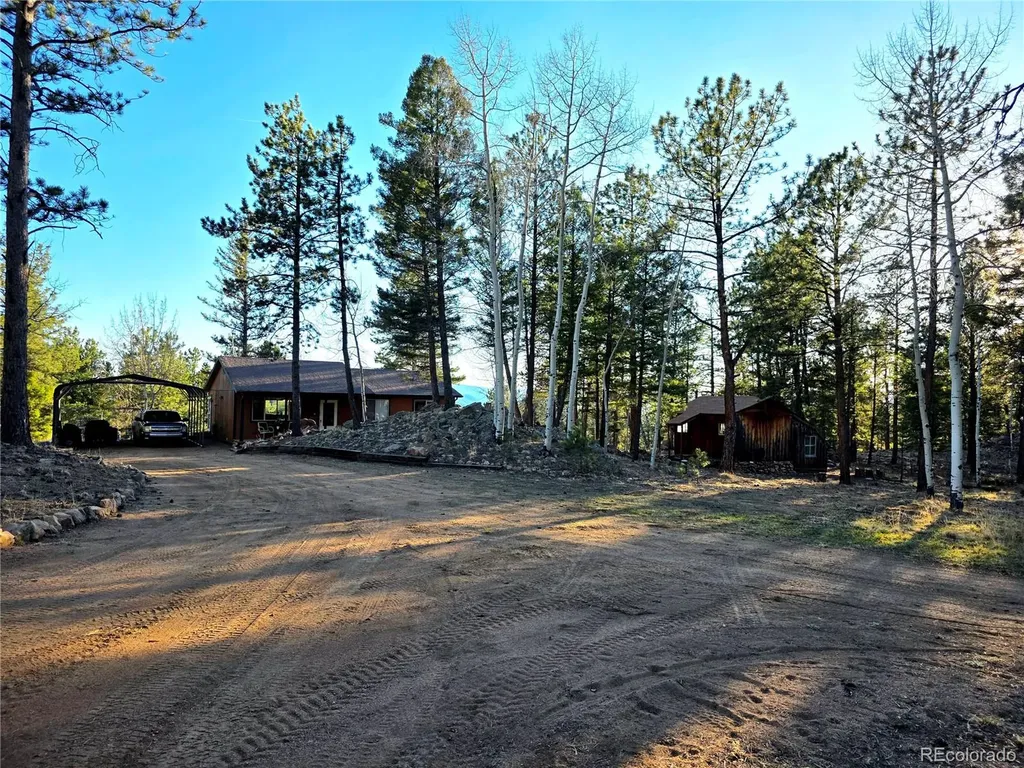 2063 Vagabond Creek Drive Lake George CO 80827