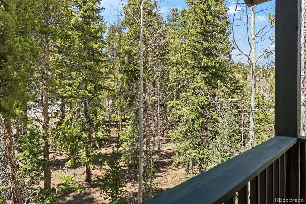 260 Ski Hill Road Breckenridge CO 80424