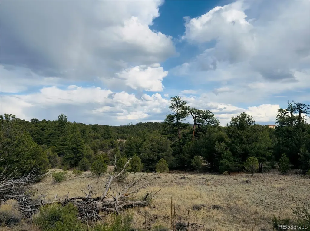 5539 Cody Park Road Cotopaxi CO 81223