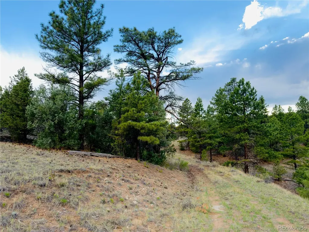 5539 Cody Park Road Cotopaxi CO 81223