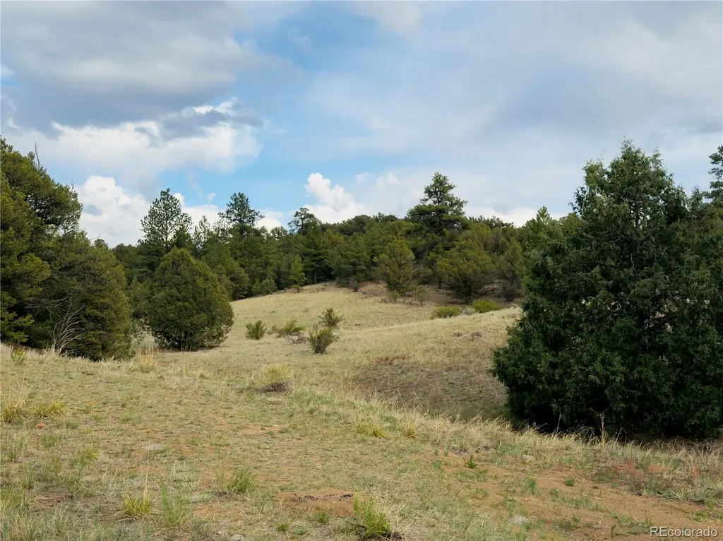 5539 Cody Park Road Cotopaxi CO 81223