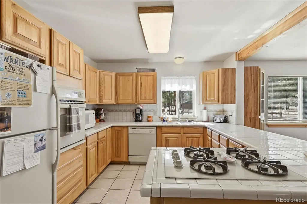 100 Spruce Drive South Fork CO 81154