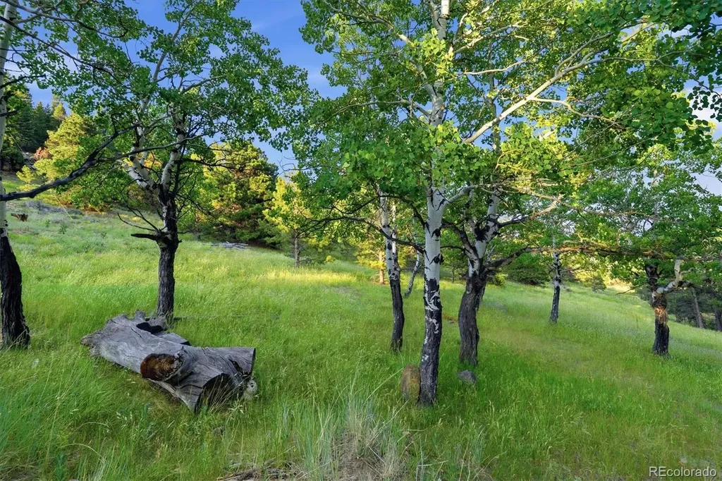 34317 State Highway 103 Evergreen CO 80439