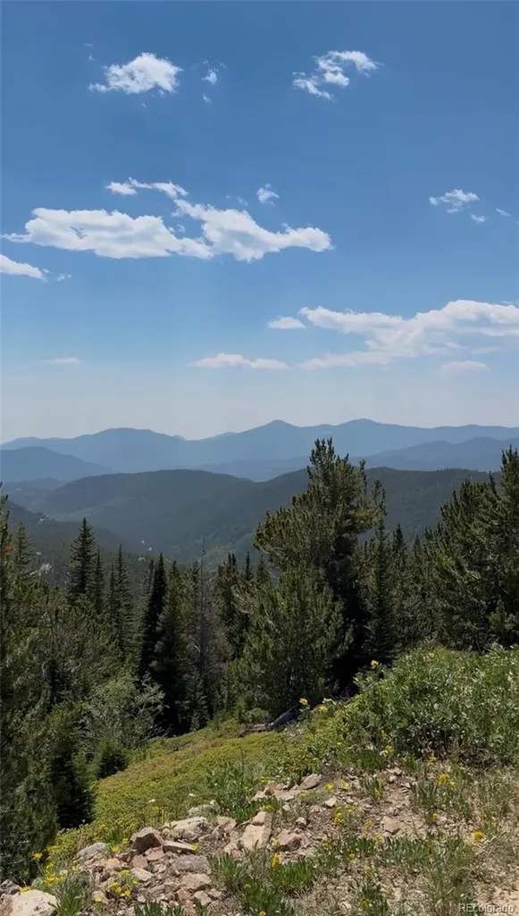1 Nebraska Circle Idaho Springs CO 80452