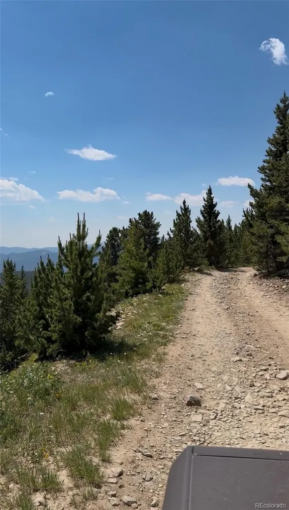 1 Nebraska Circle Idaho Springs CO 80452