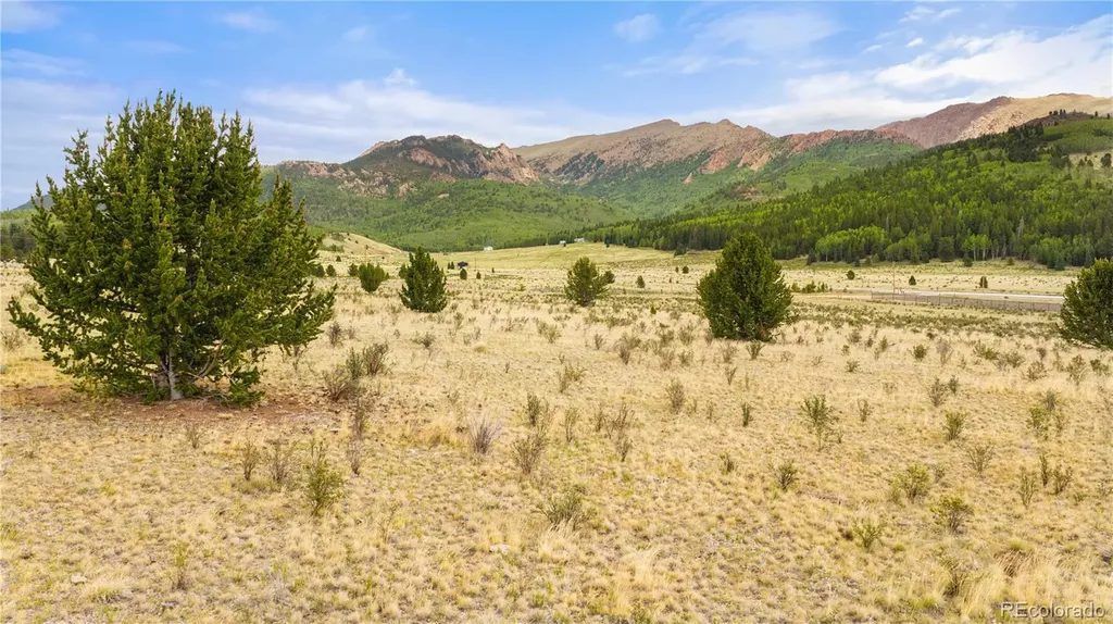 11881 Sh 67 Divide CO 80814