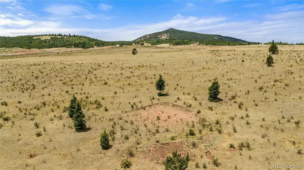 11881 Sh 67 Divide CO 80814