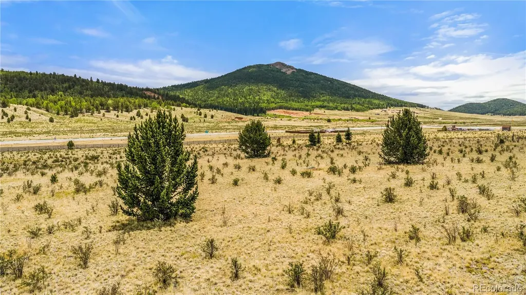 11881 Sh 67 Divide CO 80814