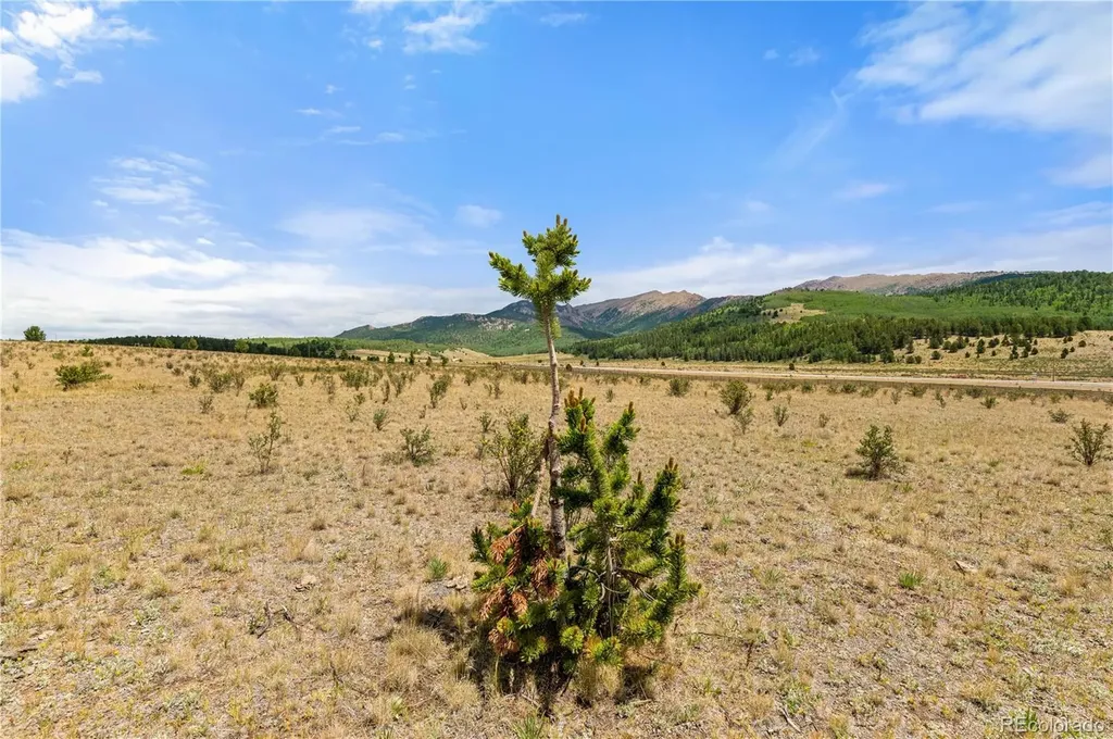 11881 Sh 67 Divide CO 80814
