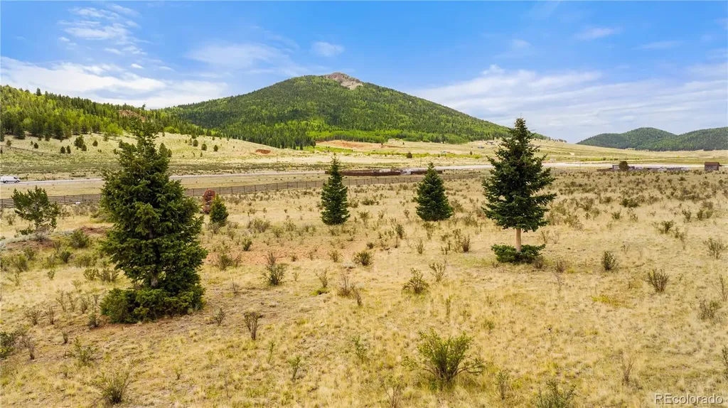 11881 Sh 67 Divide CO 80814