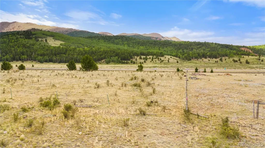 11881 Sh 67 Divide CO 80814