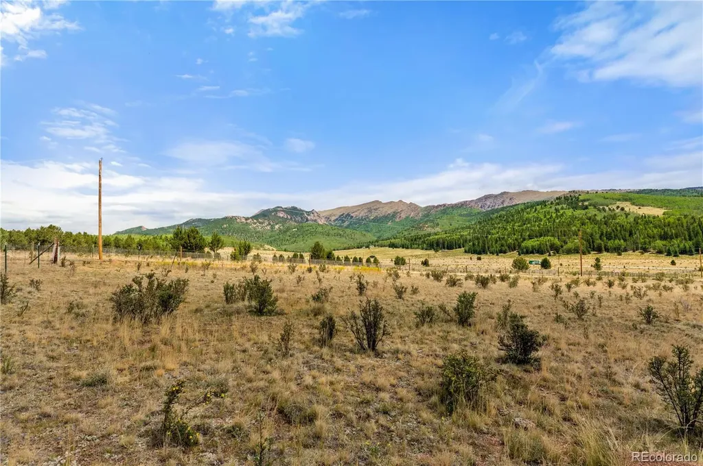 11881 Sh 67 Divide CO 80814