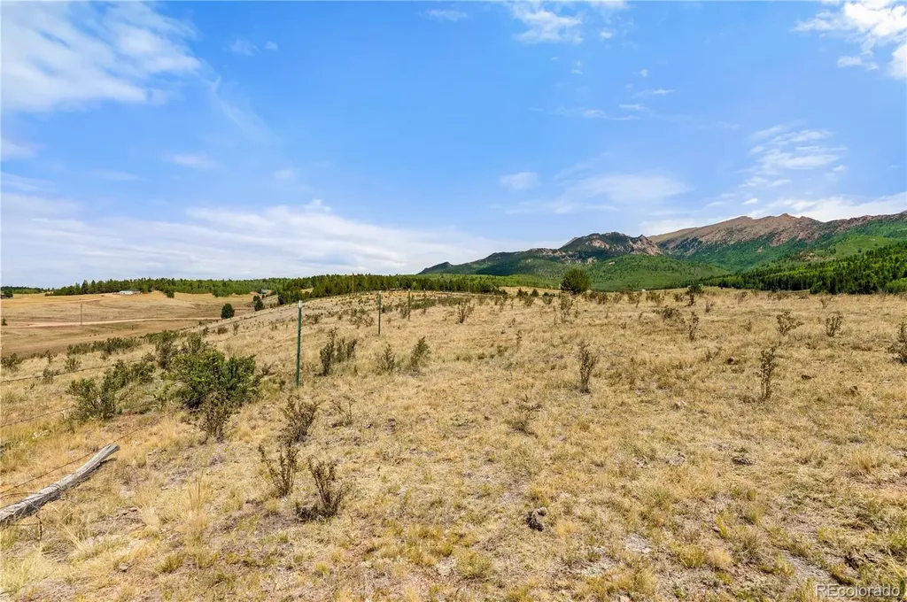 11881 Sh 67 Divide CO 80814