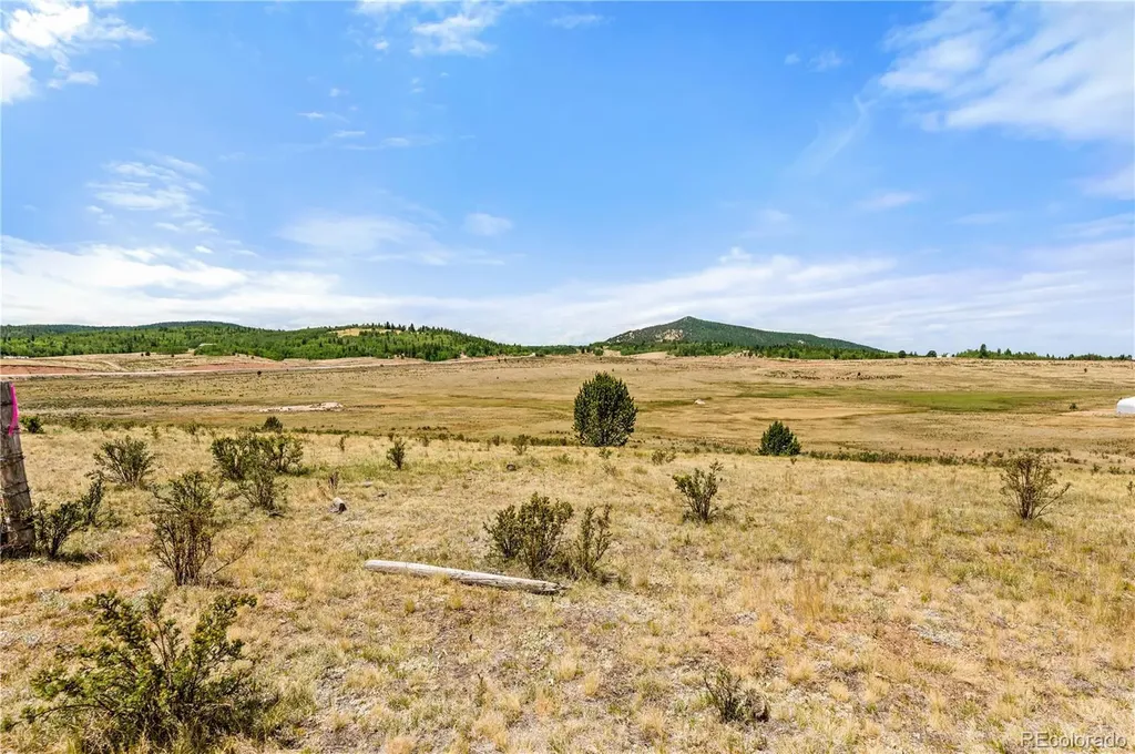 11881 Sh 67 Divide CO 80814