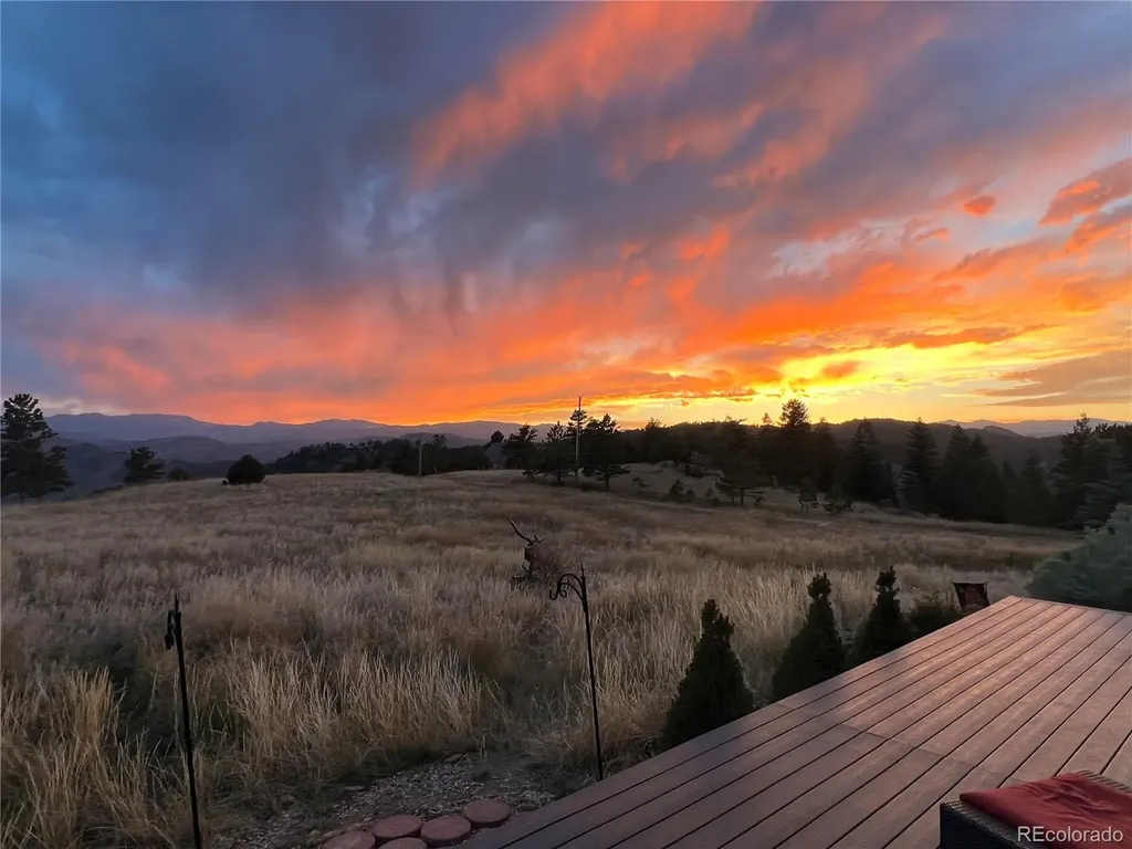 54 Guardian Peak Drive Livermore CO 80536