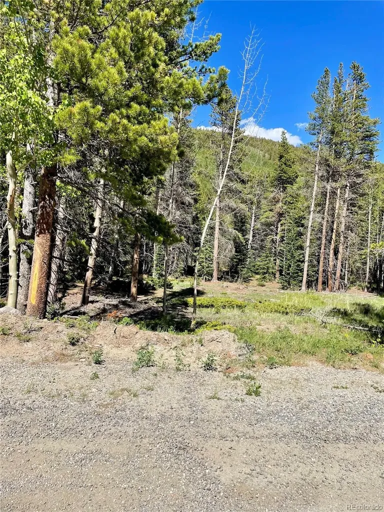 Silver Creek Road Idaho Springs CO 80452