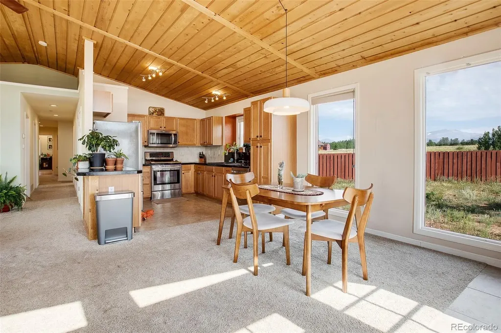 119 Bristlecone Lane Fairplay CO 80440
