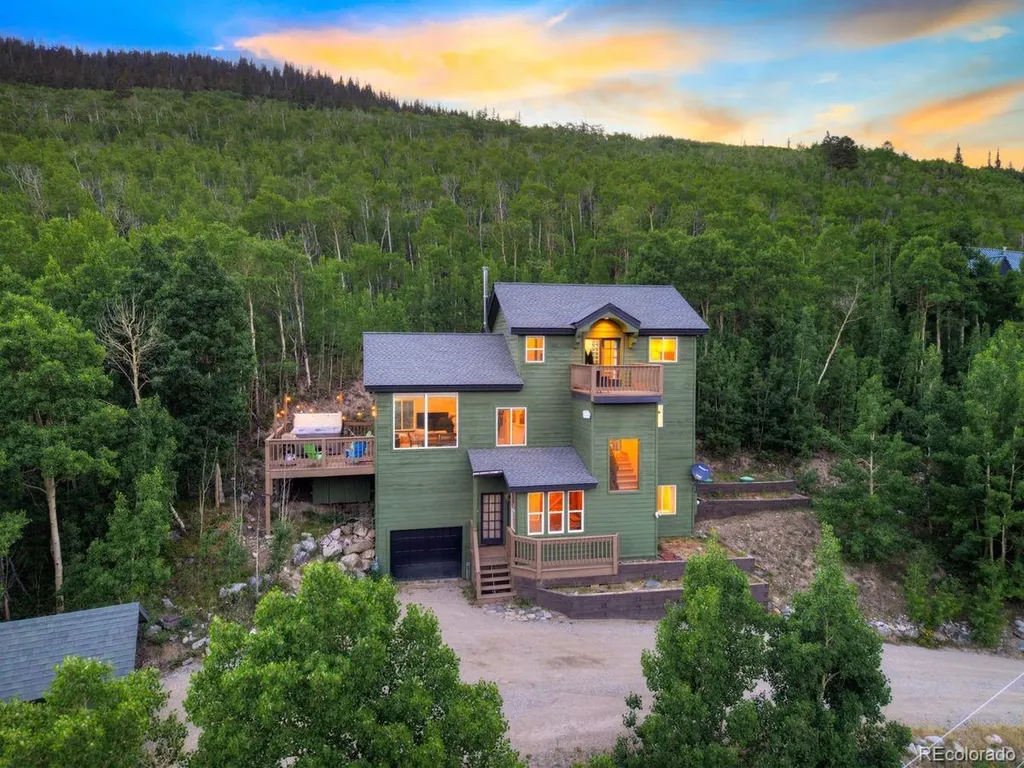 1095 Quartzville Road Alma CO 80440