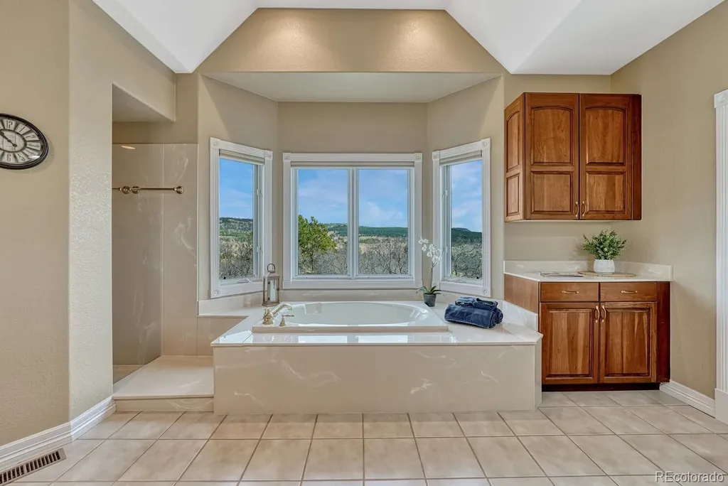 620 Forest View Way Monument CO 80132