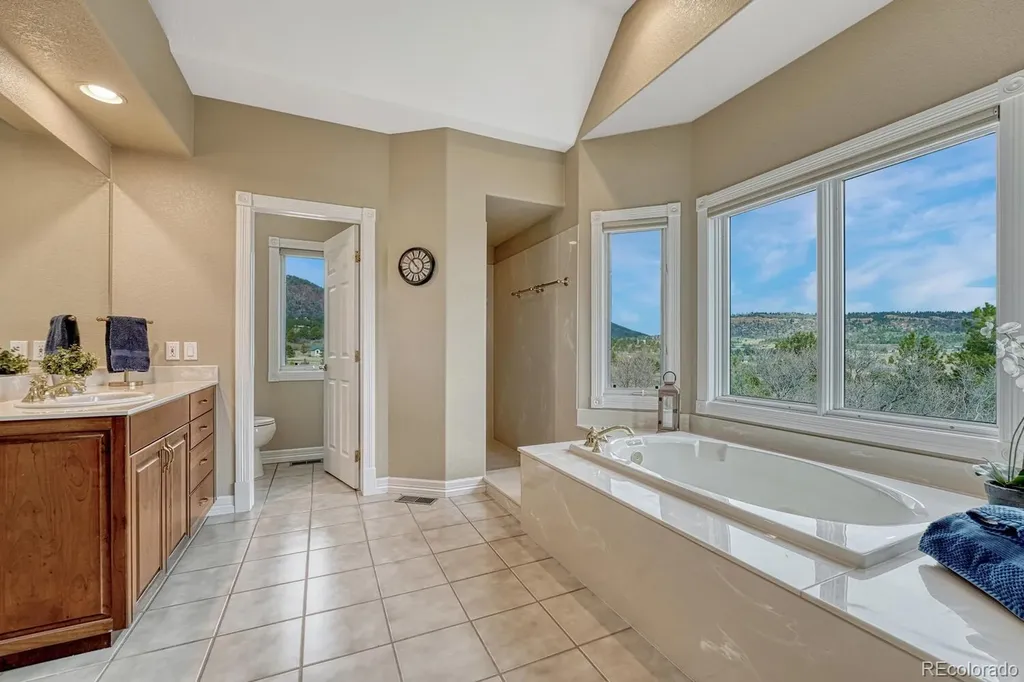 620 Forest View Way Monument CO 80132