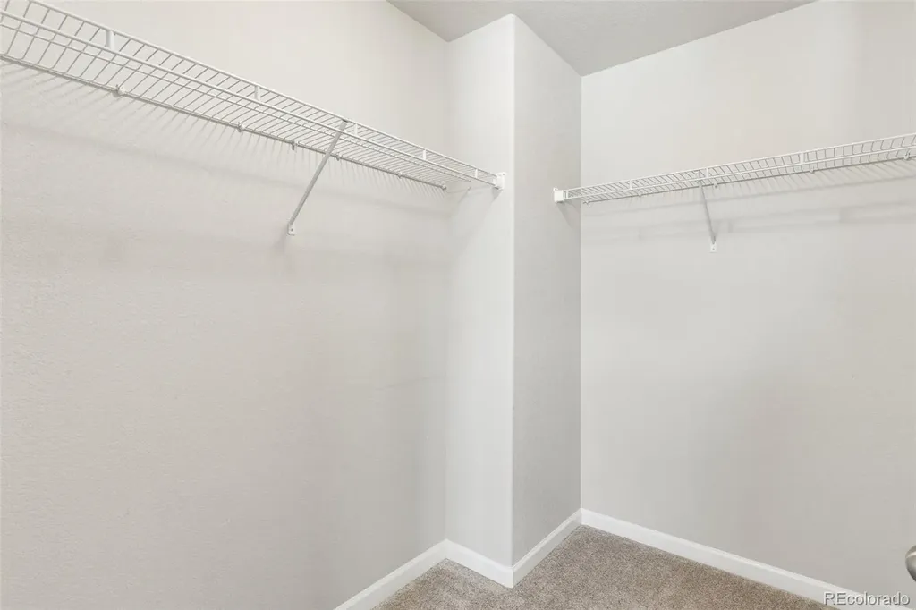 4075 Tiberias Point Colorado Springs CO 80916