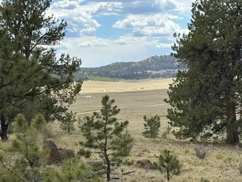 99 Arapaho Court Hartsel CO 80449