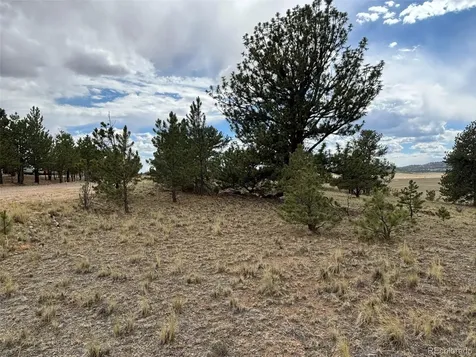 99 Arapaho Court Hartsel CO 80449