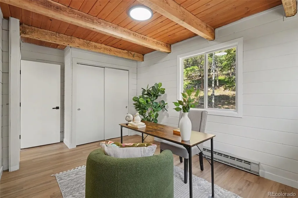 10742 Timothys Road Conifer CO 80433