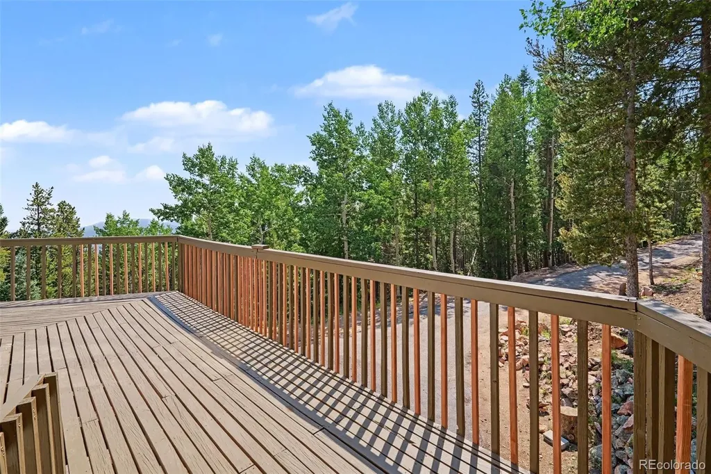 10742 Timothys Road Conifer CO 80433