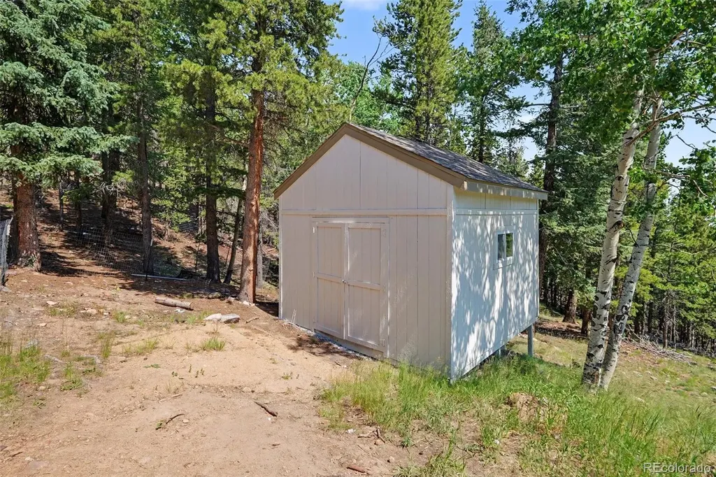 10742 Timothys Road Conifer CO 80433