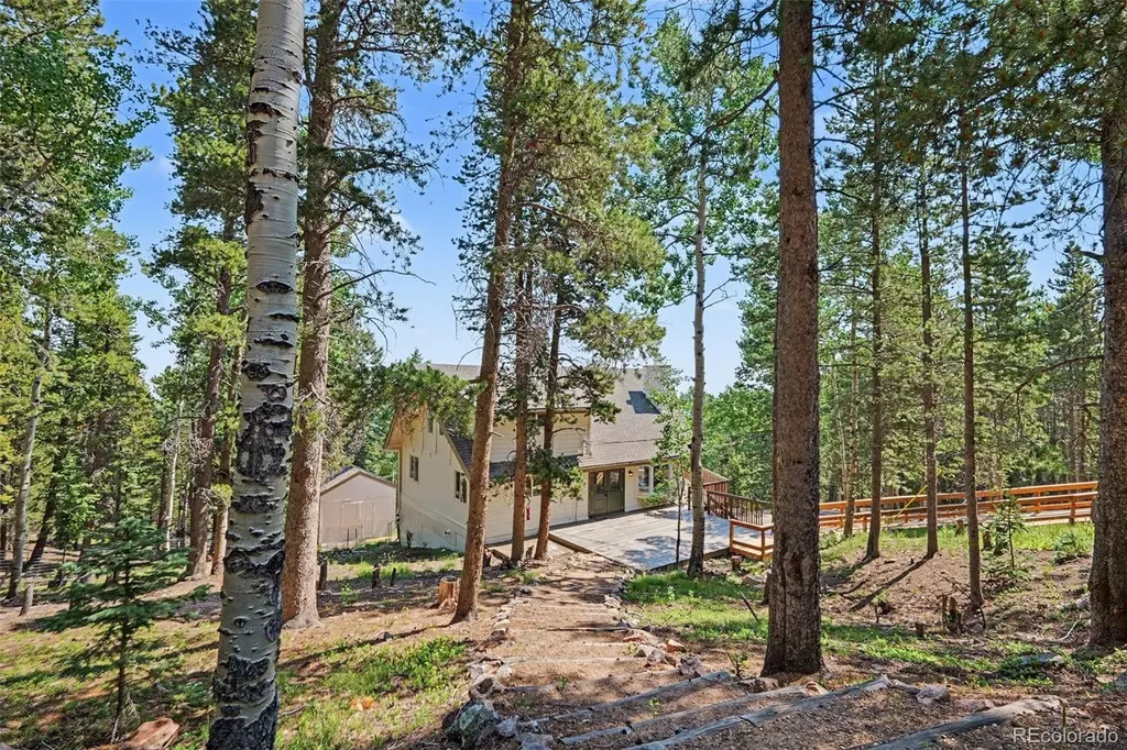 10742 Timothys Road Conifer CO 80433
